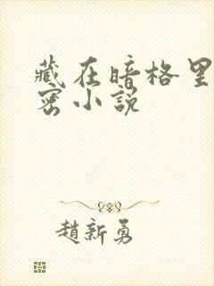 藏在暗格里的秘密小说