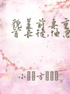 貌美前妻重生嫁首长后,他急疯了