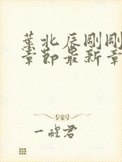 叶北辰刚刚更新章节最新章节免费阅