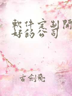 软件定制开发的好的公司