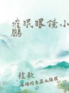 催眠眼镜小说王鹏