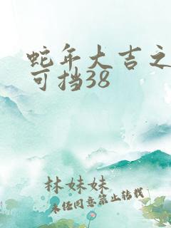 蛇年大吉之婚不可挡38