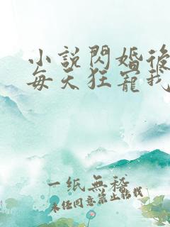 小说闪婚后大叔每天狂宠我免费阅读