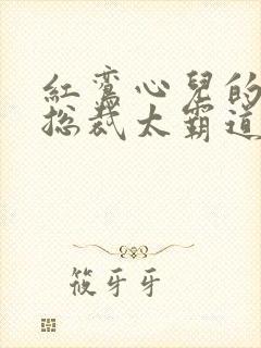 红鸾心儿的闪婚总裁太霸道