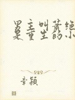 男主叫萧绝女主是重生的小说