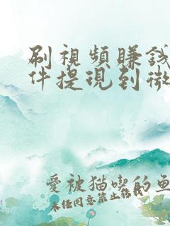 刷视频赚钱的软件提现到微信