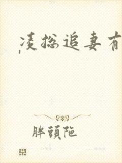 凌总追妻有点甜'