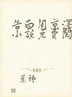 告白周京泽许随小说免费阅读全文在线