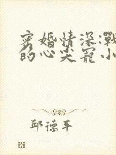 密婚情深:战少的心尖宠小说