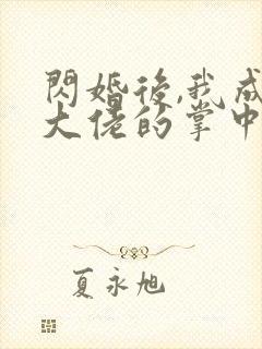 闪婚后,我成了大佬的掌中之物小说