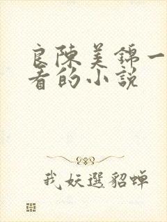 良陈美锦一样好看的小说