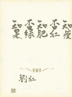 知否知否知否应是绿肥红瘦 原著