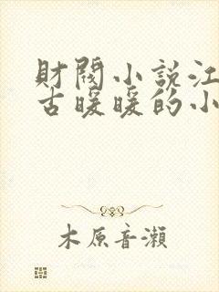 财阀小说江尘御古暖暖的小说