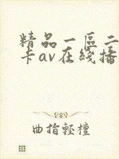 精品一区二区不卡av在线播放