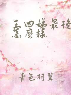 王四娣最后结局怎么样