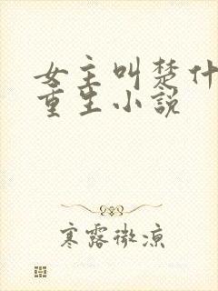 女主叫楚什么的重生小说