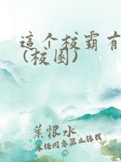 这个校霸有点甜 (校园)