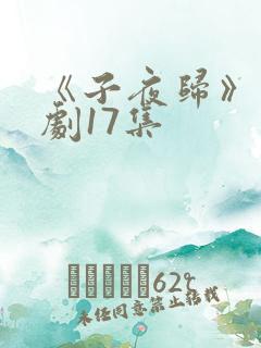 《子夜归》电视剧17集