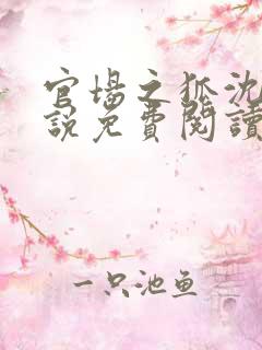 官场之狐沈荡小说免费阅读