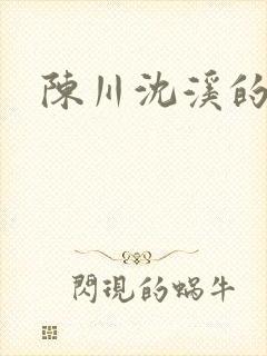 陈川沈溪的小说