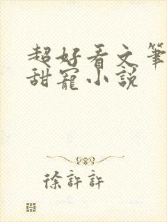 超好看文笔好的甜宠小说