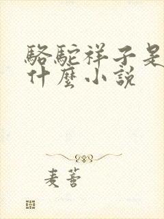 骆驼祥子是一本什么小说