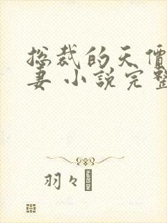 总裁的天价小娇妻 小说完整