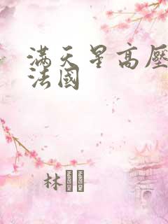 满天星高压监狱法国