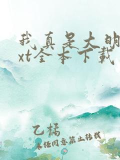 我真是大明星txt全本下载未删减版