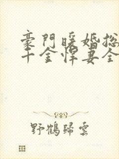 豪门暖婚总裁的千金悍妻全文免费阅读