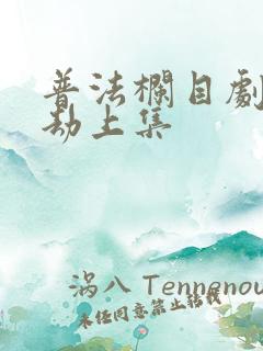 普法栏目剧兄妹劫上集