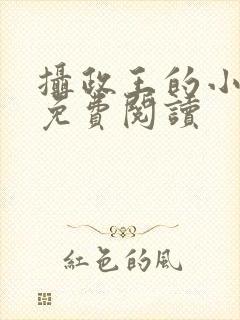 摄政王的小娇妃免费阅读