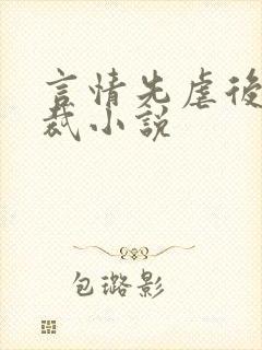 言情先虐后甜总裁小说