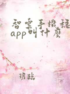 智云手机稳定器app叫什么