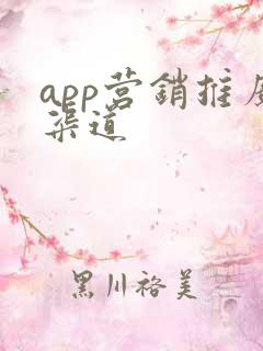 app营销推广渠道