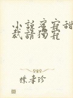 小说蜜宠甜妻总裁请独宠