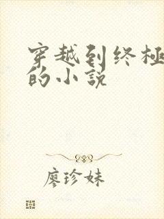 穿越到终极斗罗的小说