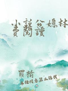 小说公媳林冰免费阅读