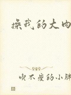 操我的大肉逼