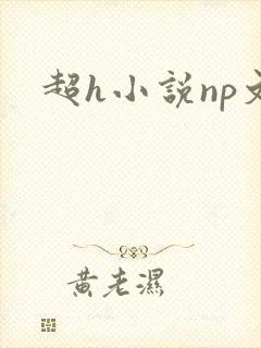 超h小说np文