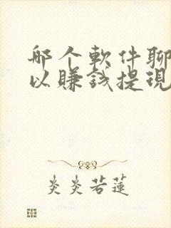 哪个软件聊天可以赚钱提现