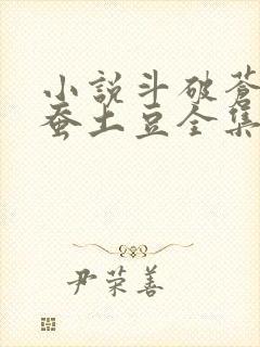 小说斗破苍穹天蚕土豆全集