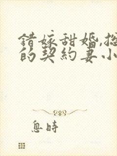 错嫁甜婚,总裁的契约妻小说