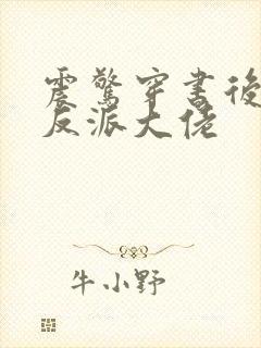 震惊穿书后娶了反派大佬