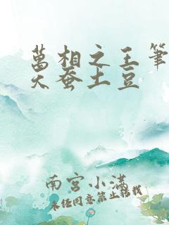 万相之王笔趣阁天蚕土豆