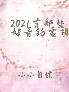 2021有哪些好看的电视剧