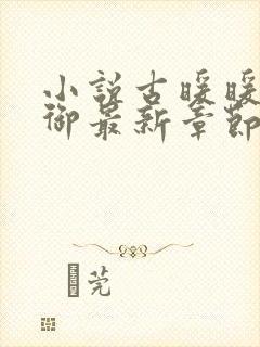 小说古暖暖江尘御最新章节