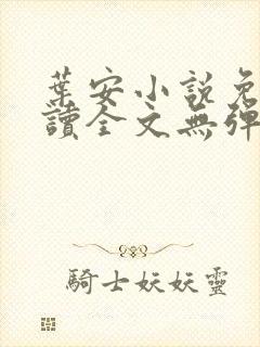 叶安小说免费阅读全文无弹窗