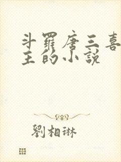 斗罗唐三喜欢男主的小说