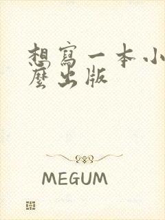 想写一本小说怎么出版